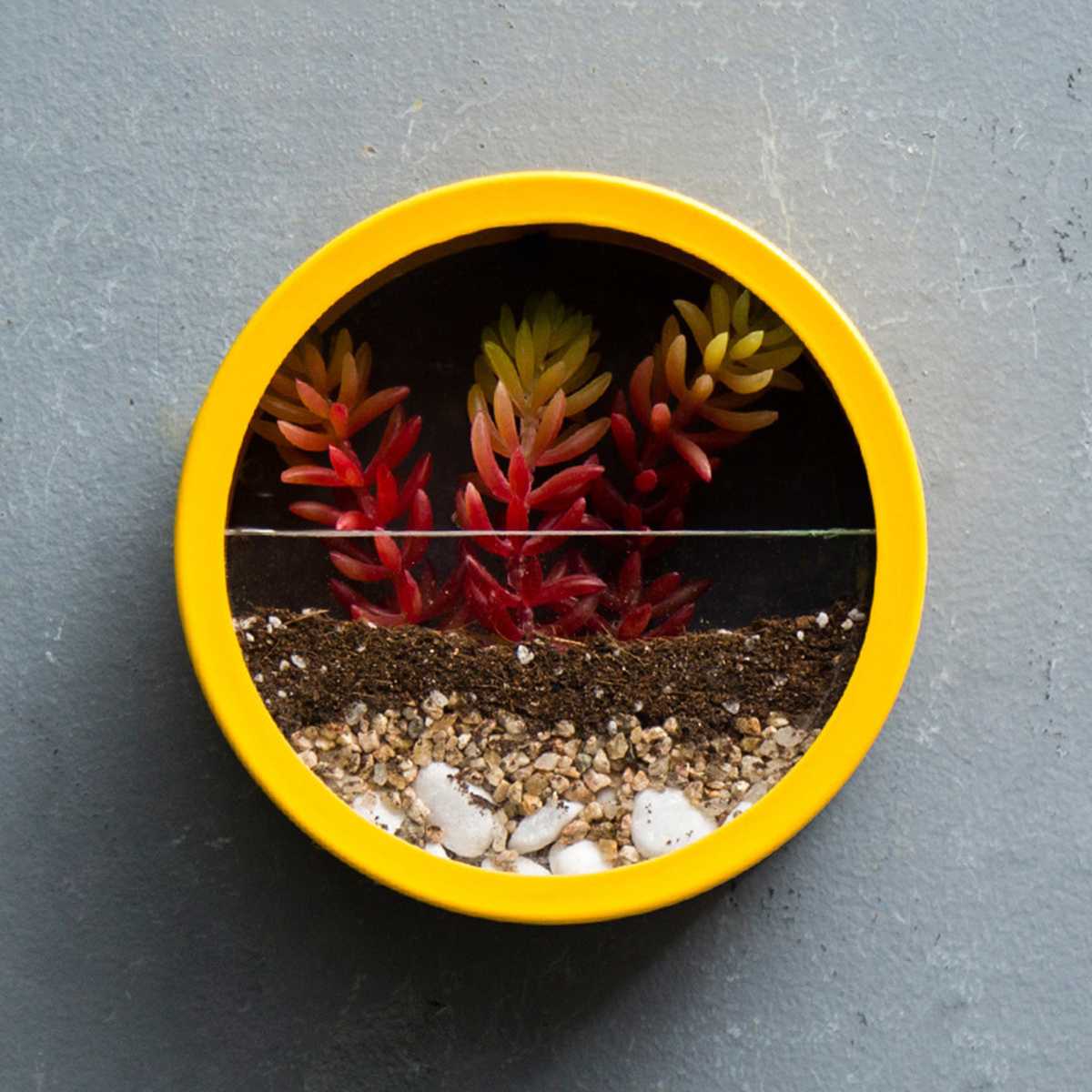 Modern Wall Round Vase